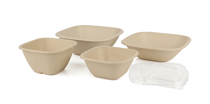 conteneur de bagasse