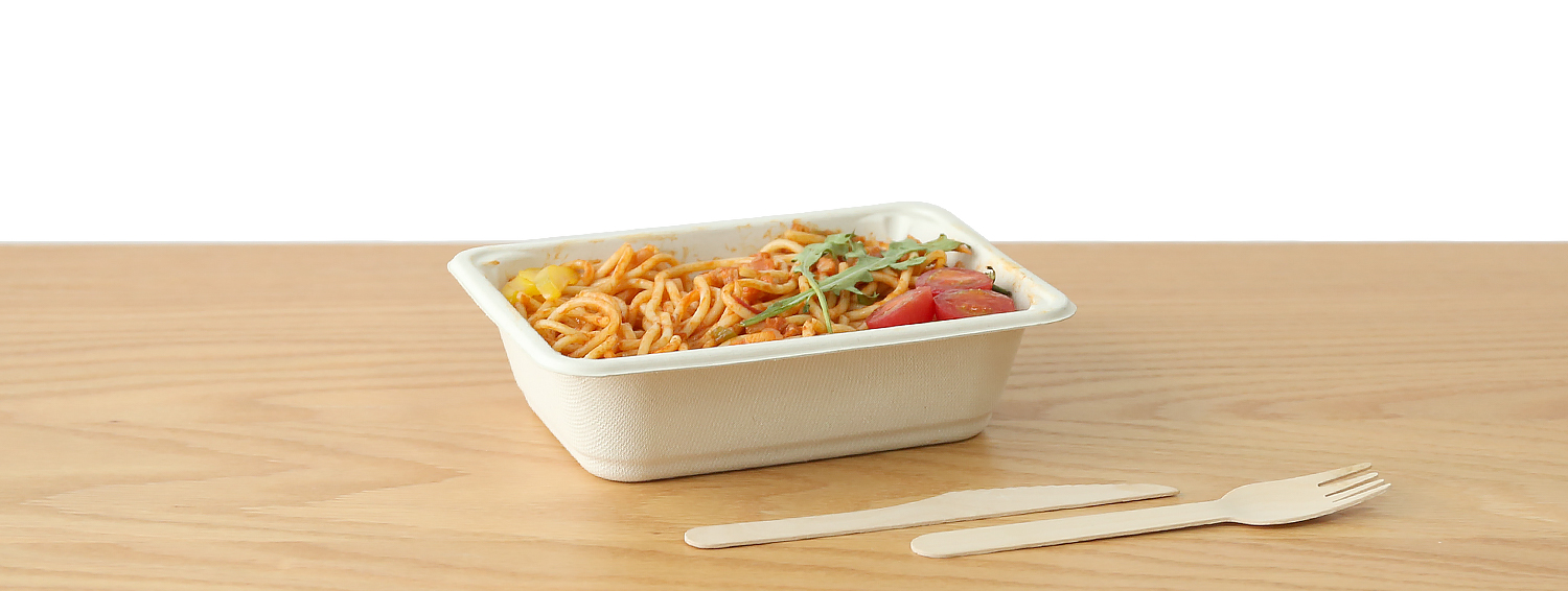 bagasse food packaging