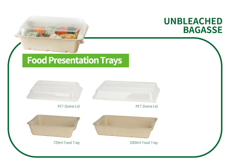 bagasse food tray